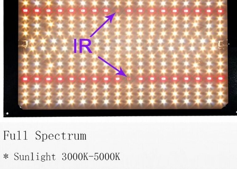 Quantum board 120w