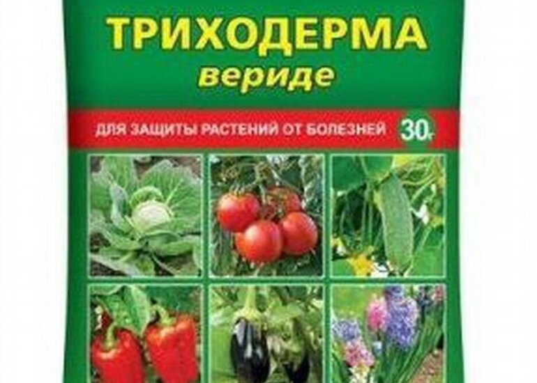 Триходерма вериде инструкция по применению. Триходерма 15 г. Триходерма вериде 30 г. Фунгицид триходерма. Биопрепарат триходерма.